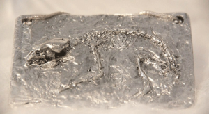 Fossil pendant by Nikki Romanello